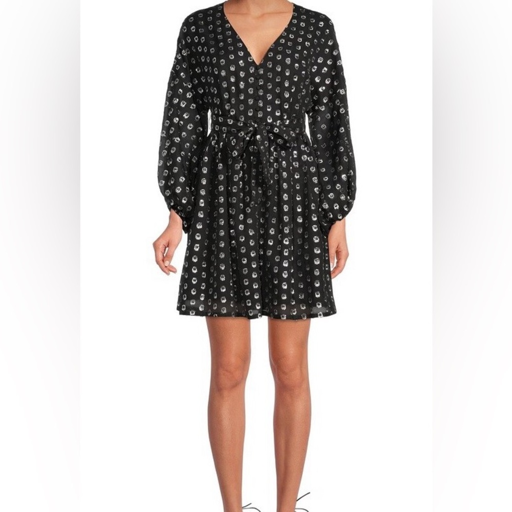 Like New A Loves A Black and Silver Mini Dress